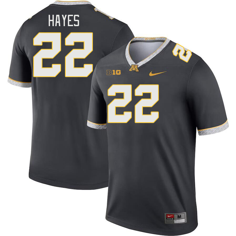Men #22 Donielle Hayes Minnesota Golden Gophers College Football Jerseys Stitched Sale-Charcoal - Click Image to Close
